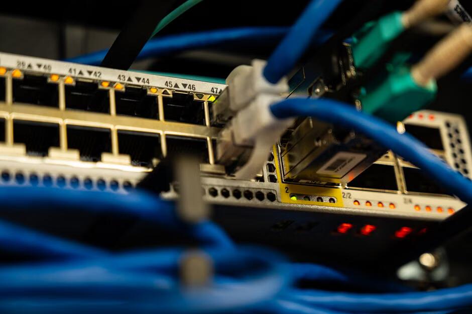 Cables de red conectados a un switch, uno junto a otro.